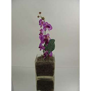 WGV Cube Glass Vase, Candle Holder, 6"x6"x6", [Bulk Qty and Size Options] Clear Elegant Floral Accent Container Planter Terrarium for Wedding Party Event Home Decor, 1 Piece