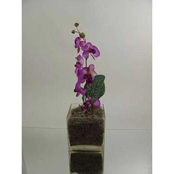 WGV Cube Glass Vase, Candle Holder, 6"x6"x6", [Bulk Qty and Size Options] Clear Elegant Floral Accent Container Planter Terrarium for Wedding Party Event Home Decor, 1 Piece