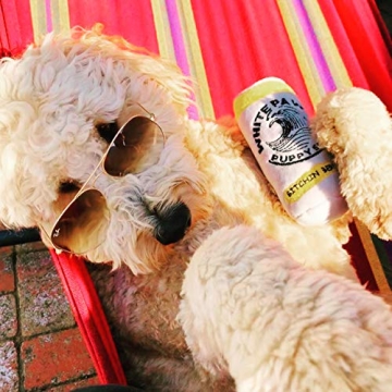 Neuter Light Two Pack Plush Squeaky Dog Toys Funny Drink Parody