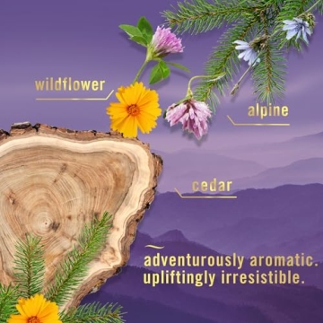 Touch Fabric Spray, Ocean & Mountain, 16.9 oz, Pack of 2