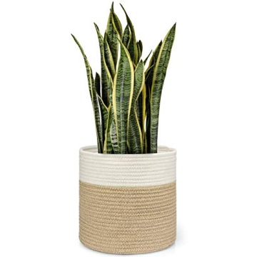 Dahey Jute Spliced Cotton Rope Plant Basket Modern Woven Storage Basket for 10" Floor Indoor Planter...