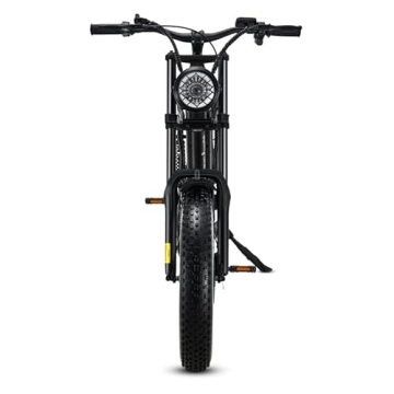 Riding'times 1500W Electric Bike for Thrilling Rides
