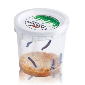 5 Live Caterpillars Refill for Butterfly Habitat Kit