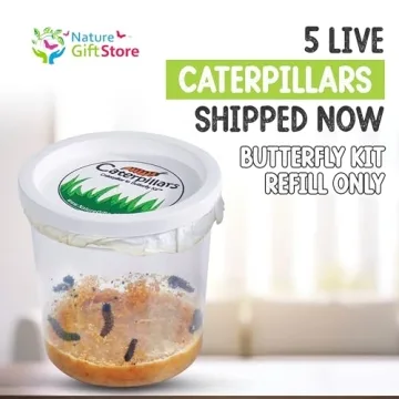 5 Live Caterpillars Refill for Butterfly Habitat Kit