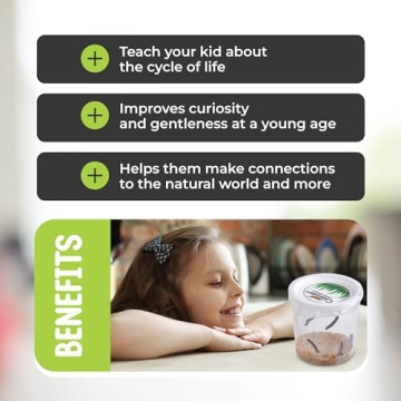 5 Live Caterpillars Refill for Butterfly Habitat Kit