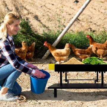 Beyoogeem Metal Chicken Picnic Table Feeder for Poultry