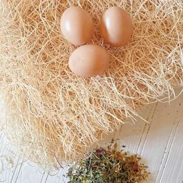 Fresh Eggs Daily Natural Aspen Chicken Nesting Pads for Laying Hens Large 13 x 13 (6 Pack) Plus 2oz. Sample of Coop Confetti Nesting Herbs
