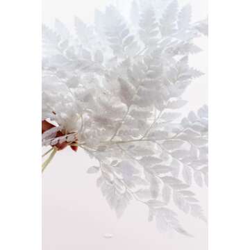 Dried Fern Bleached - 10 Stems | Fern Leaves| Preserved Fern