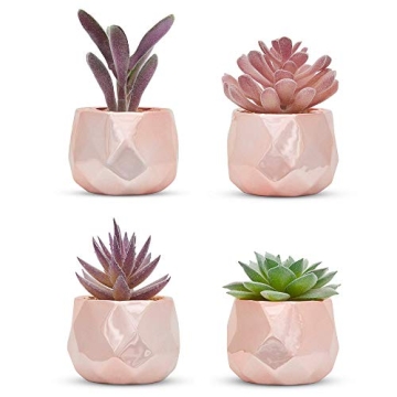 Nordik Set of 4 Desk Plants in Rose Gold - Office Decor for Women, Indoor, Living Room, Bedroom, Hom...
