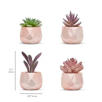 Nordik Set of 4 Desk Plants in Rose Gold for Home Decor