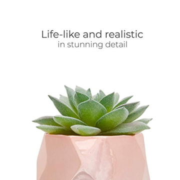 Nordik Set of 4 Desk Plants in Rose Gold for Home Decor
