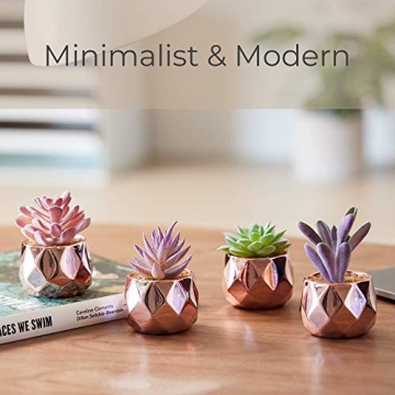 Nordik Set of 4 Desk Plants in Rose Gold for Home Decor