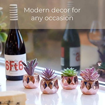 Nordik Set of 4 Desk Plants in Rose Gold for Home Decor