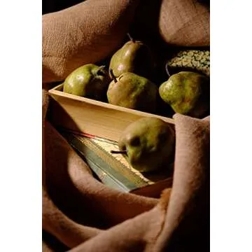 Fujifilm Fujinon XF60mmF2.4 R Macro