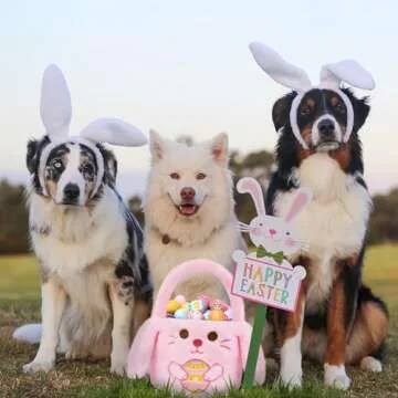 Easter Bunny Basket for Kids and Adults - Cute & Reusable