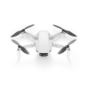 DJI Mavic Mini Fly More Combo for Captivating Aerial Shots