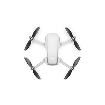 DJI Mavic Mini Fly More Combo for Captivating Aerial Shots