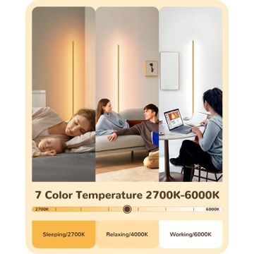 EDISHINE LED Corner Floor Lamp - Chic Dimmable Light Set of 2
