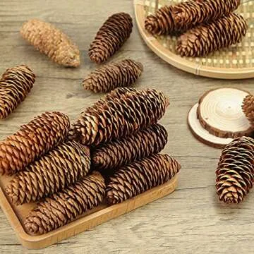 JOHOUSE 3.5-5Inch Natural Pine Cones, Big Pinecones, Christmas Natural Pinecone Ornaments Big Spruce Pine Cones for Autumn and Winter Decor Christmas Decorations, Winter Vase Filler