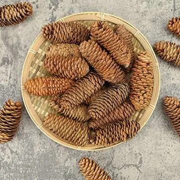 JOHOUSE 3.5-5Inch Natural Pine Cones, Big Pinecones, Christmas Natural Pinecone Ornaments Big Spruce Pine Cones for Autumn and Winter Decor Christmas Decorations, Winter Vase Filler