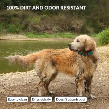 CollarDirect Adjustable Dog Collar Colorful Waterproof Pet Collars for Small Medium Large Dogs Puppy Pink Black Blue Mint Green Orange (Neck Fit 18"-26", Mint Green)