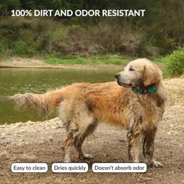 CollarDirect Adjustable Dog Collar Colorful Waterproof Pet Collars for Small Medium Large Dogs Puppy Pink Black Blue Mint Green Orange (Neck Fit 18"-26", Mint Green)