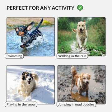 CollarDirect Adjustable Dog Collar Colorful Waterproof Pet Collars for Small Medium Large Dogs Puppy Pink Black Blue Mint Green Orange (Neck Fit 18"-26", Mint Green)