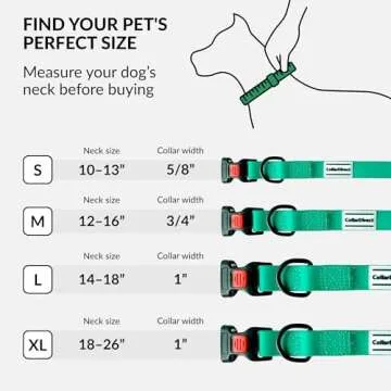 CollarDirect Adjustable Dog Collar Colorful Waterproof Pet Collars for Small Medium Large Dogs Puppy Pink Black Blue Mint Green Orange (Neck Fit 18"-26", Mint Green)