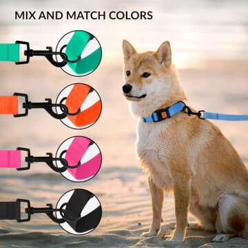 CollarDirect Adjustable Dog Collar Colorful Waterproof Pet Collars for Small Medium Large Dogs Puppy Pink Black Blue Mint Green Orange (Neck Fit 18"-26", Mint Green)