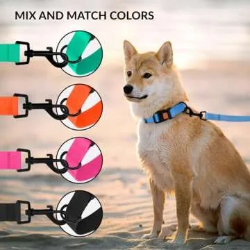 CollarDirect Adjustable Dog Collar Colorful Waterproof Pet Collars for Small Medium Large Dogs Puppy Pink Black Blue Mint Green Orange (Neck Fit 18"-26", Mint Green)