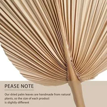 Natural Dried Palm Leaves Boho Palm Leaves Decor Heart Round Shape Palm Fans Tropical Palm Leaves Decoration Dried Palm Leaves Decor for Holidays Weddings Party Kitchen (Heart Shape, Round Shape, 6)