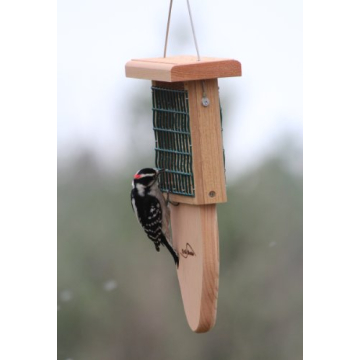 Durable Cedar Suet Bird Feeder with Tail Prop