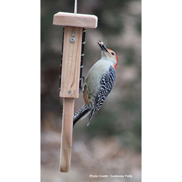Durable Cedar Suet Bird Feeder with Tail Prop