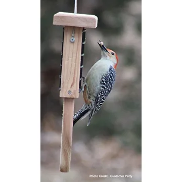 Durable Cedar Suet Bird Feeder with Tail Prop