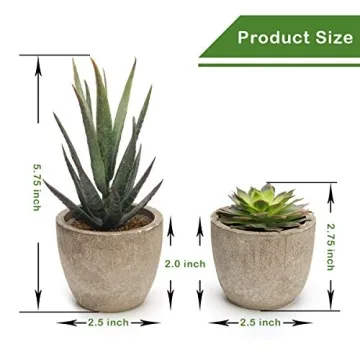Coitak Artificial Succulent Plants Set for Elegant Decor