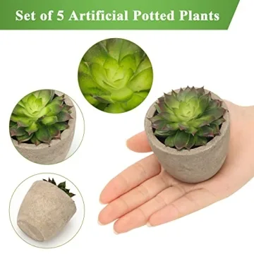 Coitak Artificial Succulent Plants Set for Elegant Decor