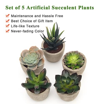 Coitak Artificial Succulent Plants Set for Elegant Decor