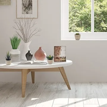 Coitak Artificial Succulent Plants Set for Elegant Decor