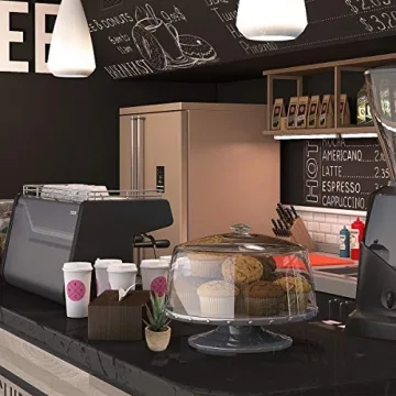 Coitak Artificial Succulent Plants Set for Elegant Decor