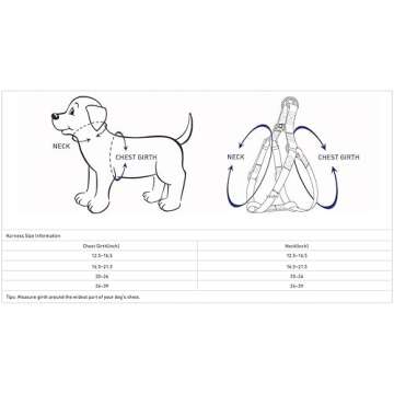 Blueberry Pet Essentials Matching Large Dog Harness | Adjustable Classic Solid Nylon No Pull Harness for Dogs | Easy Walk Dog Harness for Large Dogs & Step in Dog Harness | Dark Orchid Dog Harness