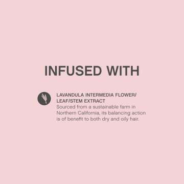 KEVIN.MURPHY ANTI.GRAVITY - Volumising & Texturising Lotion - For All Hair Types - Hair Volume & Shine - Hair Texture & Shine - Less Flyaways - Sulphate & Paraben Free Hair Care - 150 mL / 5.1 fl oz