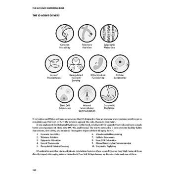The Ultimate Nutrition Bible for Personalized Diet Planning