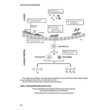 The Ultimate Nutrition Bible for Personalized Diet Planning