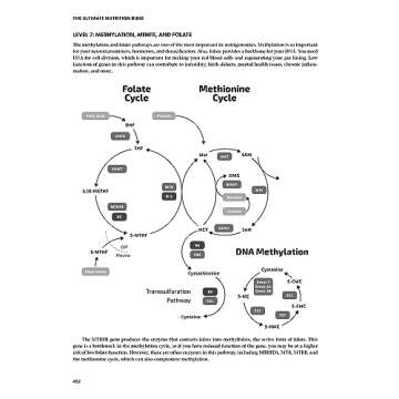 The Ultimate Nutrition Bible for Personalized Diet Planning