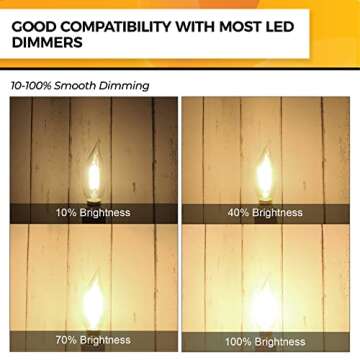 Hizashi E12 LED Dimmable Bulbs - 90+ CRI, 4W Warm Light