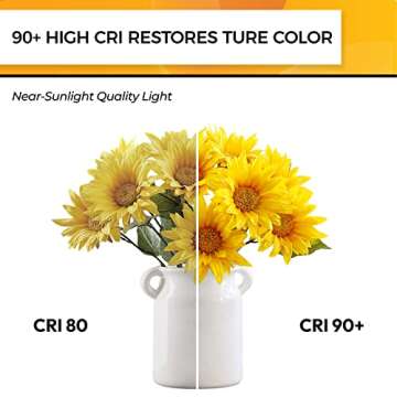 Hizashi E12 LED Dimmable Bulbs - 90+ CRI, 4W Warm Light