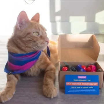 Travel Cat Clicker Training Kit for Effective Pet Training