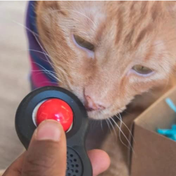 Travel Cat Clicker Training Kit for Effective Pet Training