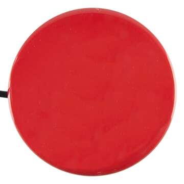 Big Buddy Button: Accessible Switch for All Ages