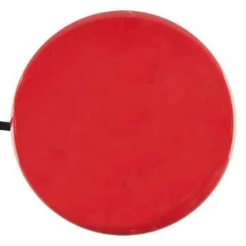 Big Buddy Button: Accessible Switch for All Ages